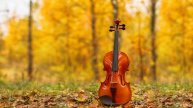 Скрипка музыка. Современная скрипка. Спокойная скрипка. Грустная скрипка. Классическая музыка