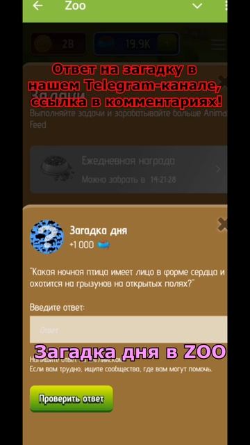 ZOO Загадка дня ответ Riddle of the day 31.01