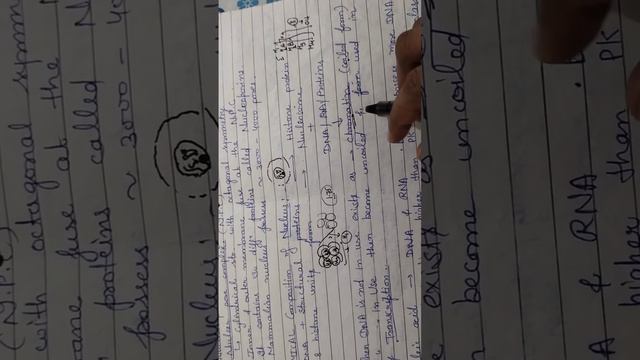 Chemical composition of Nucleus