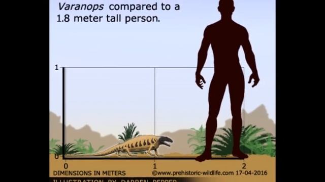 Varanops: Monitor-Lizard like Synapsid