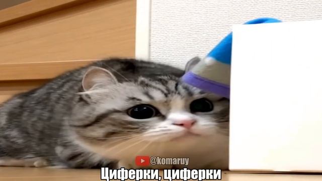 циферки