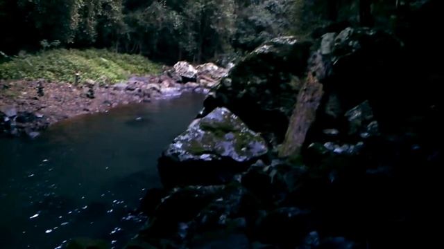 Cave where the glowworms live