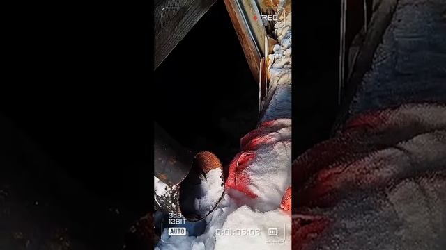 30,31.01.25
район Энтузиастов 7 (Ямальская 22)