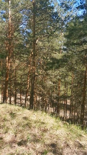 #ТУРПОХОД#Волкуша#май2024