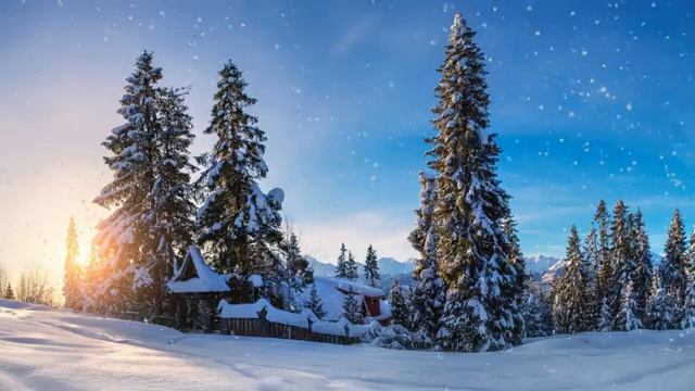 Нуждаешься в Божьей защите ? Эта молитва за тебя.