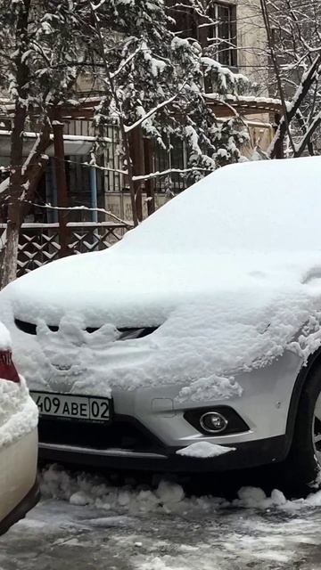 Утро Алматы. 31.01.2025.