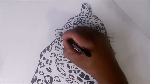 How To Draw and Color a Leopard