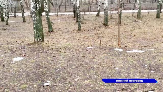 В Нижнем Новгороде температура воздуха впервые за 26 лет превысила норму на 10 градусов