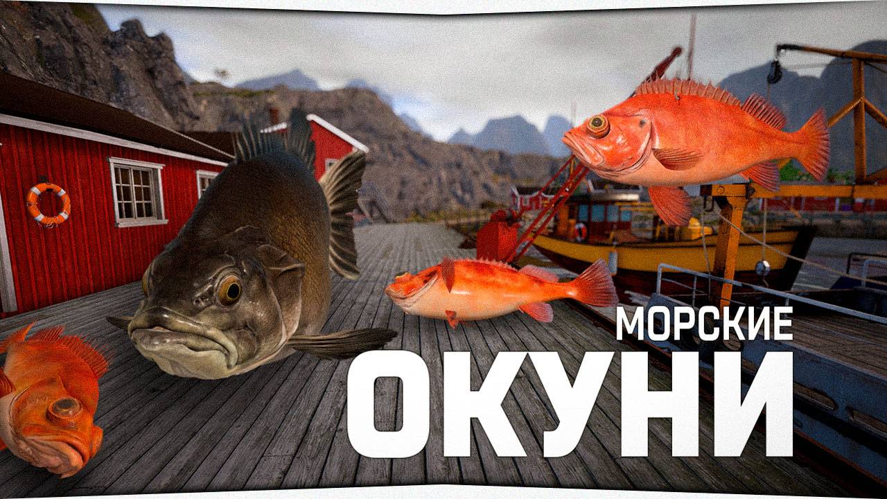 Норвежское море • Форумный турнир • Русская Рыбалка 4