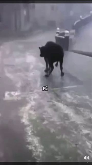 На дискотеке