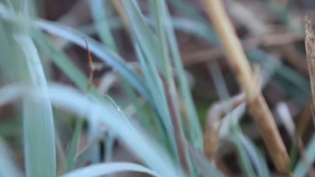 Андрей Чешуин-
'Любите- пока есть кого,
Звоните- пока есть кому! © /ПРЕМЬЕРА ПЕСНИ- 2025!