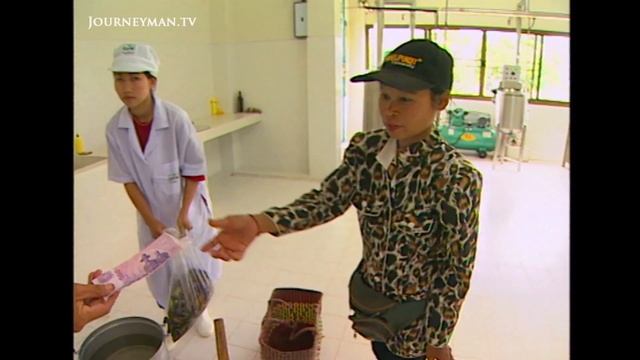 Munching On Bugs In Northern Thailand (2000)