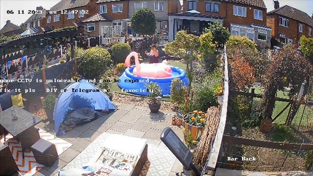 Funny Video Of Inflatable Flamingo Throwing Lady off in Garden Pool