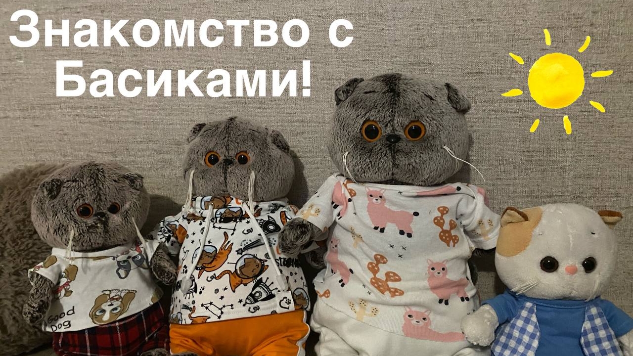 ЗНАКОМСТВО С КОТАМИ БАСИКАМИ||увлечения
