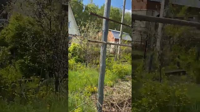 Сад Дзержинец продам