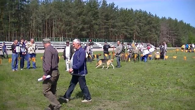 РГ ср возр гр выжлецы