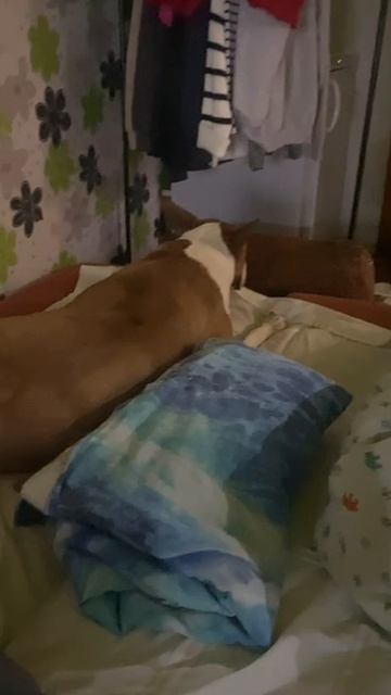 Ura vse poluchilos MyBublik
