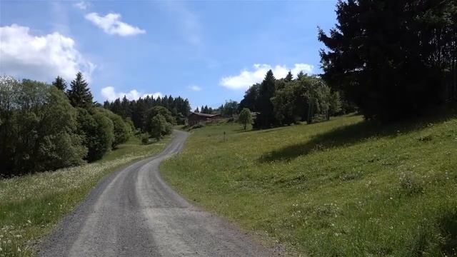 Schwarzer Apollo und andere Schmetterlinge in der Rhön