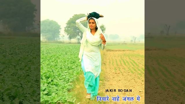 नियारे नाहै जंगल मैं (feat. Jakir khan)