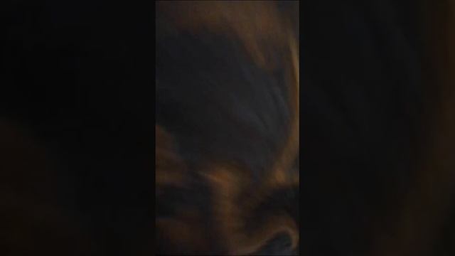 кракен 3 война на суще