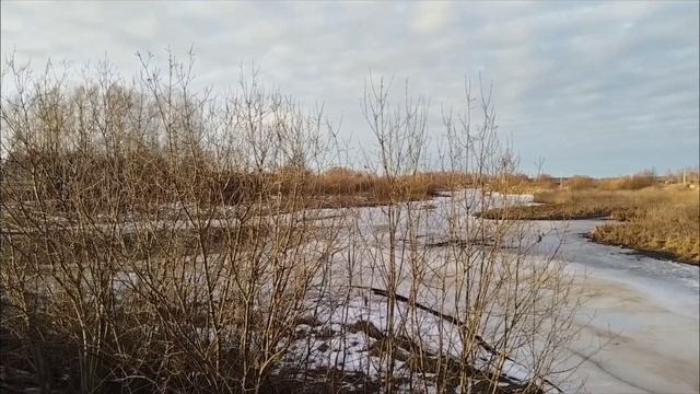 День № 6: Зима, ты ли это???