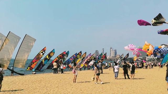 @4k Panda Stingray and Flying Kite Festival: Watch them soar in the sky.