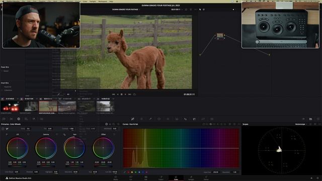 Davinci Resolve Color Grading Dunna Did It Grades YOUR Footage!