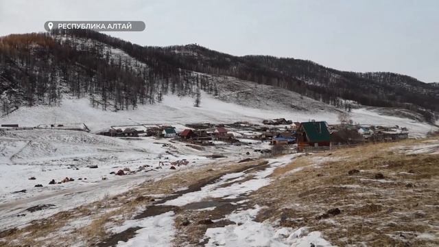 "Будни" (новости, 30.01.25г., Бийское телевидение)