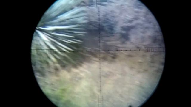 Scope camera | Eagle Eye | Dead Eye | Nielsen Specialty Ammo