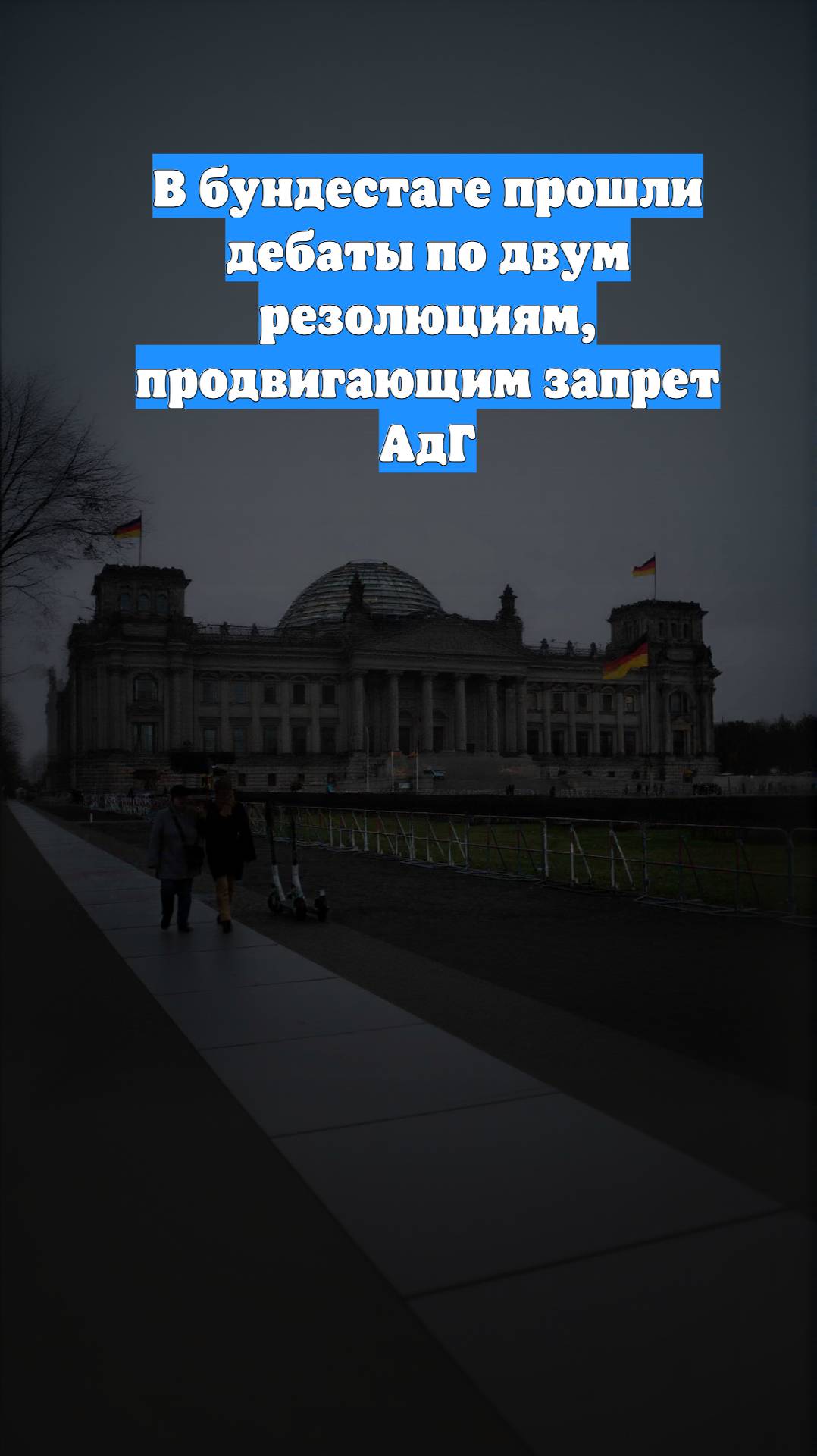 В бундестаге прошли дебаты по двум резолюциям, продвигающим запрет АдГ