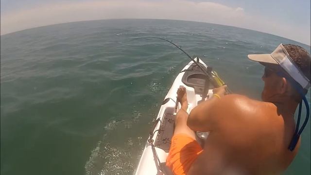 Tarpon Video July 6, 2014