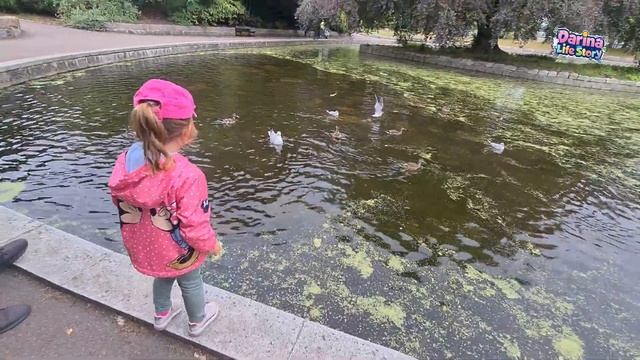 Darina is feeding ducks at Duthie Park - Дарина кормит уток в парке 🥰