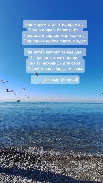 Над морем #поэзия, #шортс