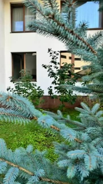 🌿🌸 Зима и кажется до весны еще далеко, но мы уже начинаем подготовку к весенне-летнему периоду