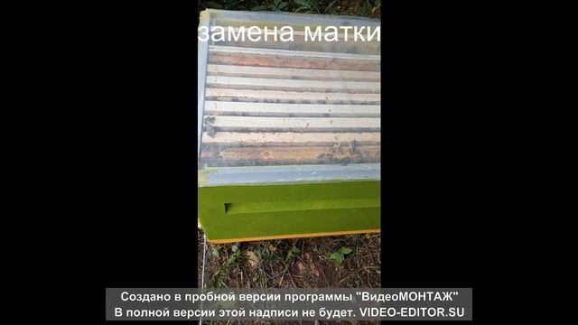 замена матки в новой семье