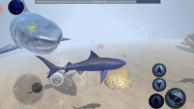 Ultimate Shark Simulator - Megalodon Boss Battle -