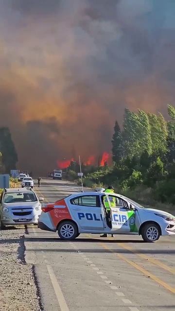 Лесной пожар вспыхнул в Кахон-дель-Асуль, Эль-Больсон, Аргентина 🇦🇷 (30.01.2025)