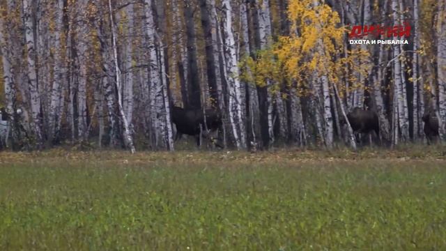 Охота в Курганской области