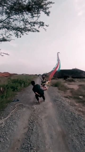 Flying Dragon Kite - How to Make One#shorts#trending