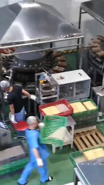 VID-20250131-WA0064.mp4