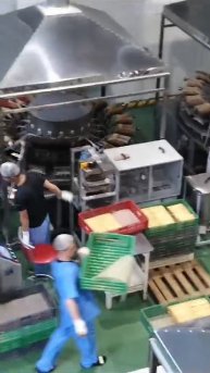 VID-20250131-WA0064.mp4