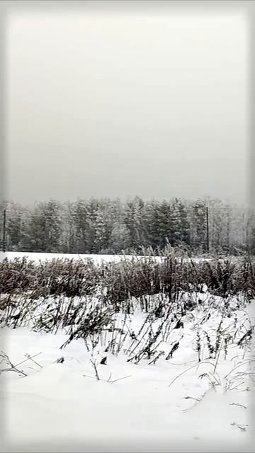 Деревня, погружённая в зимний транс | Natures Quiet Retreat