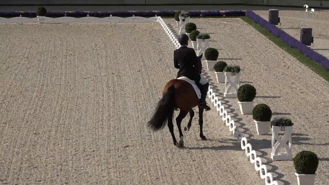 ESCORIAL & JOAO VICTOR MARCARI OLIVA  @ CHIO AACHEN 2021 GRAND PRIX CDI4