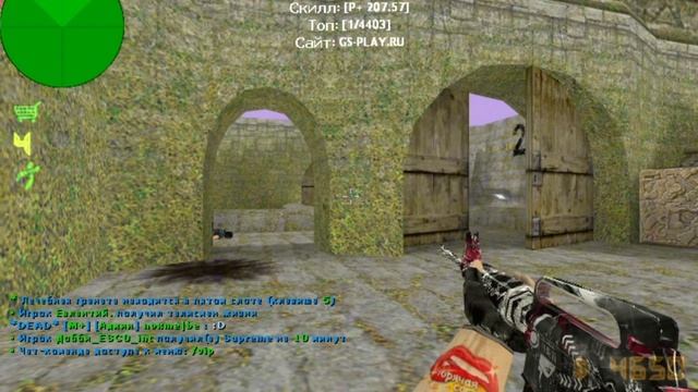 Counter-Strike 1.6