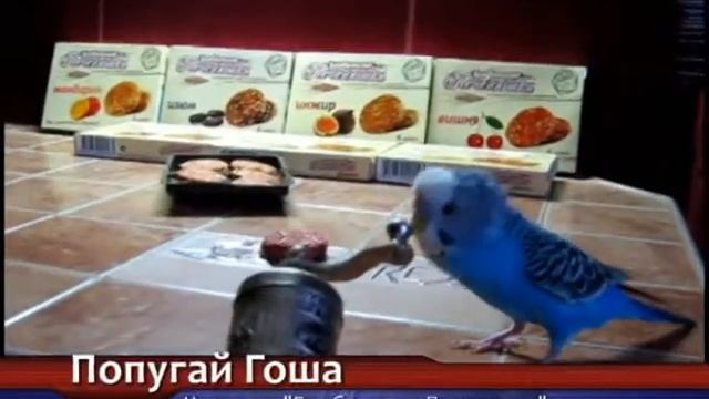 Бомбические Печенюшки