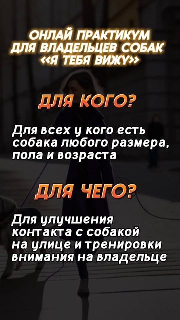 Как наладить контакт с собакой? #Shorts