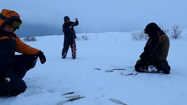 Камчатка, ловим корюшку в посёлке Октябрьский.