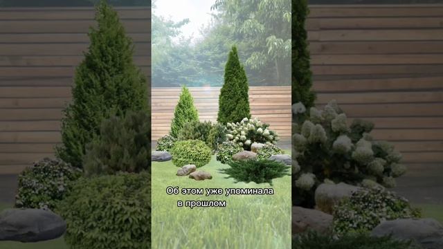 Подбирай растения правильно.mp4