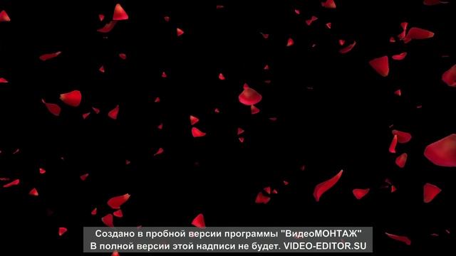 женя остряков живет моя отрада.