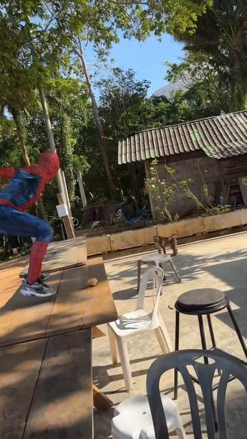 Monkeys are afraid of Spider-Man#shorst